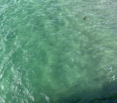 Jade green coastal water from pier